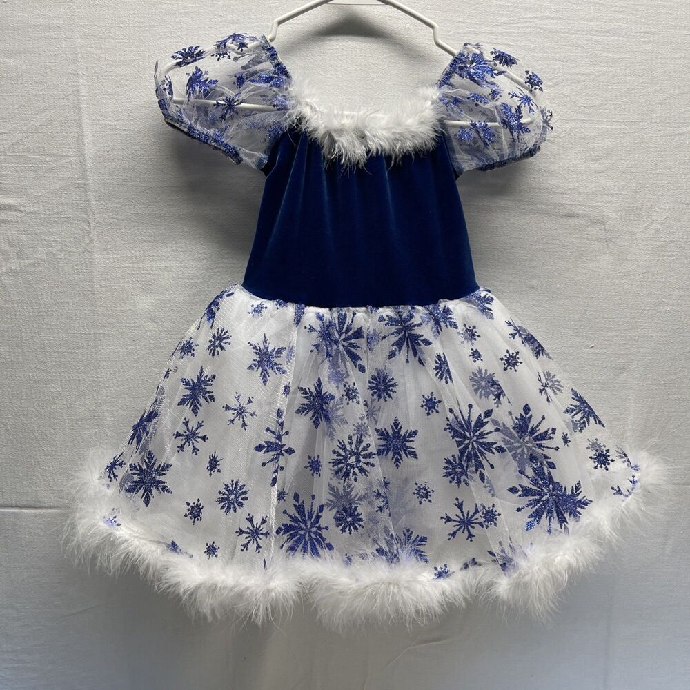 Snowflake Princess Fairy Costume Halloween Cosplay Medium Costumes Snow Queen